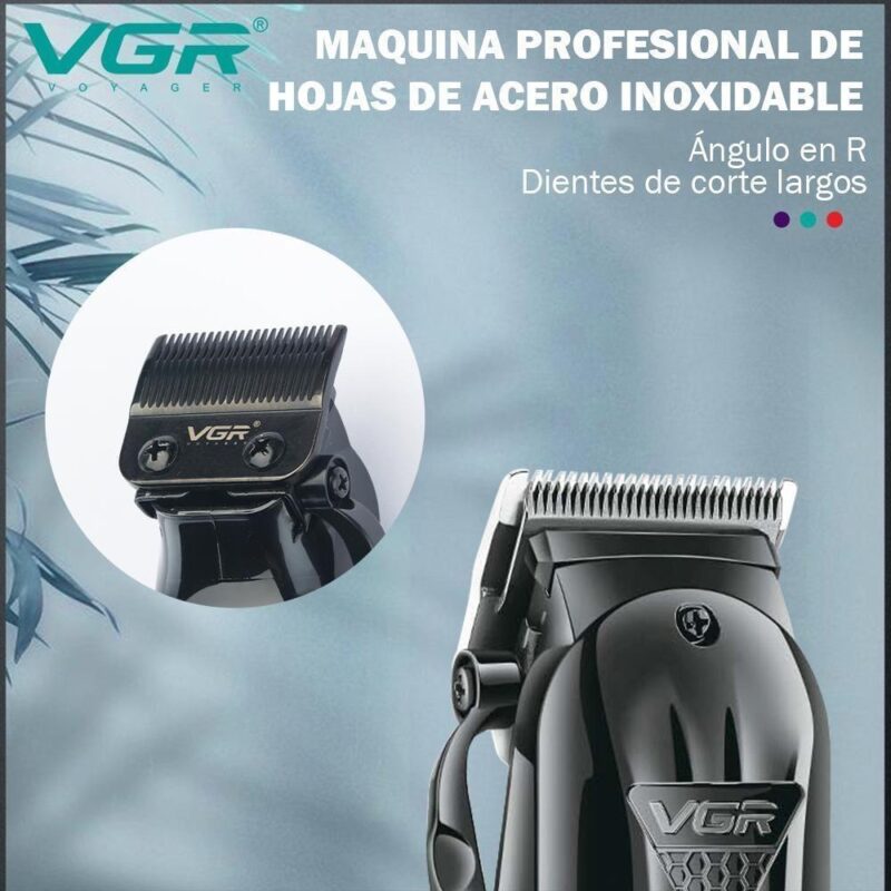 VGR Argentina