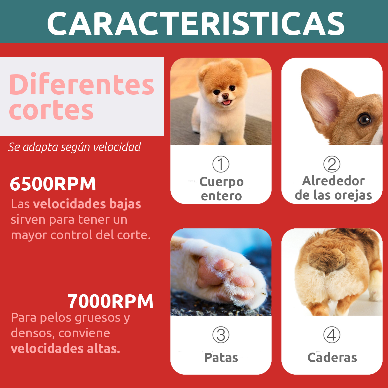 Máquina Cortar Pelo Peladora Mascotas VGR V-225 Luz 7000RPM Color Verde - Image 6