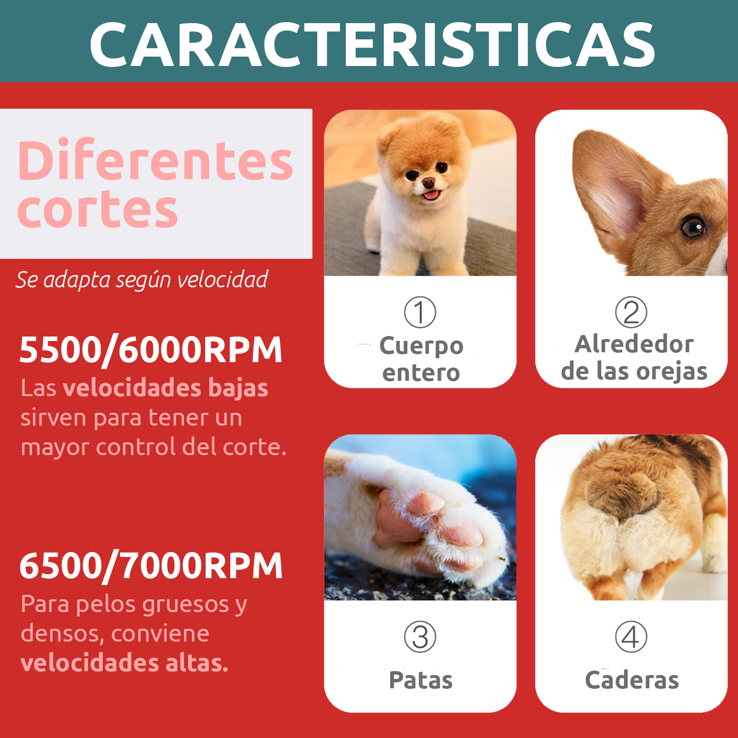 Máquina Cortar Pelo Peladora Mascota VGR V-240 7000RPM Color Verde - Image 6