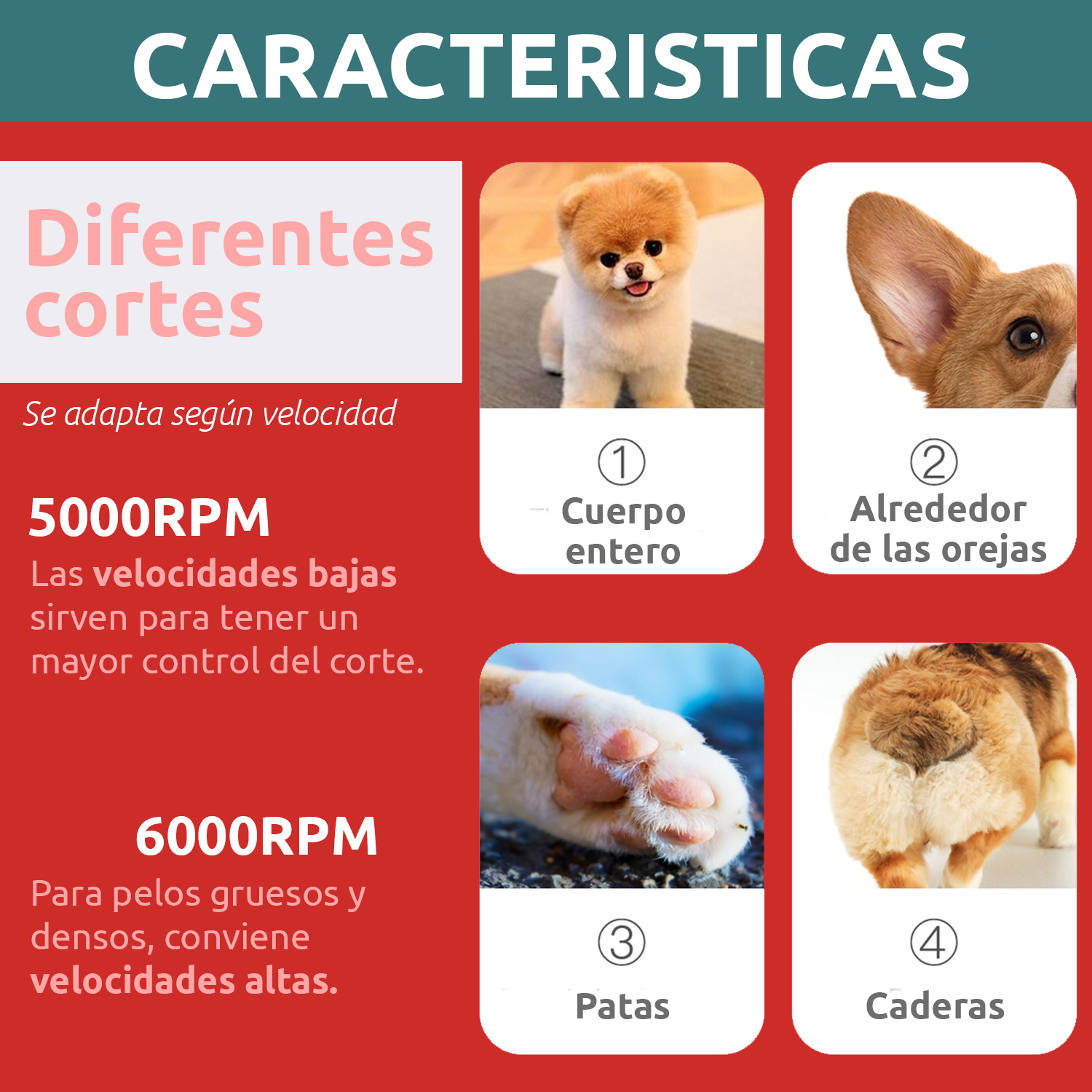 Peladora Corta Pelo Canina Inalámbrica VGR V-216 Mascotas Perro Gato - Image 7