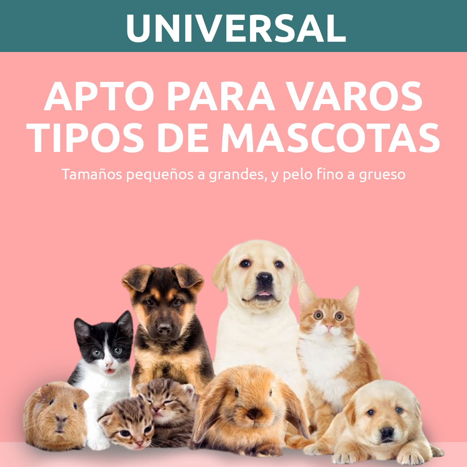 Máquina Cortar Pelo Peladora Mascotas VGR V-225 Luz 7000RPM Color Verde - Image 9