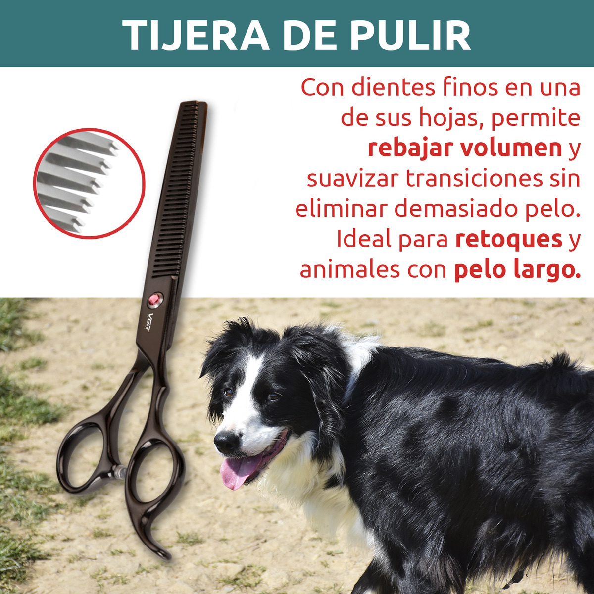 Tijeras Peluqueria Mascotas Vgr Corte Recto Curva Pulir Kit - Image 5