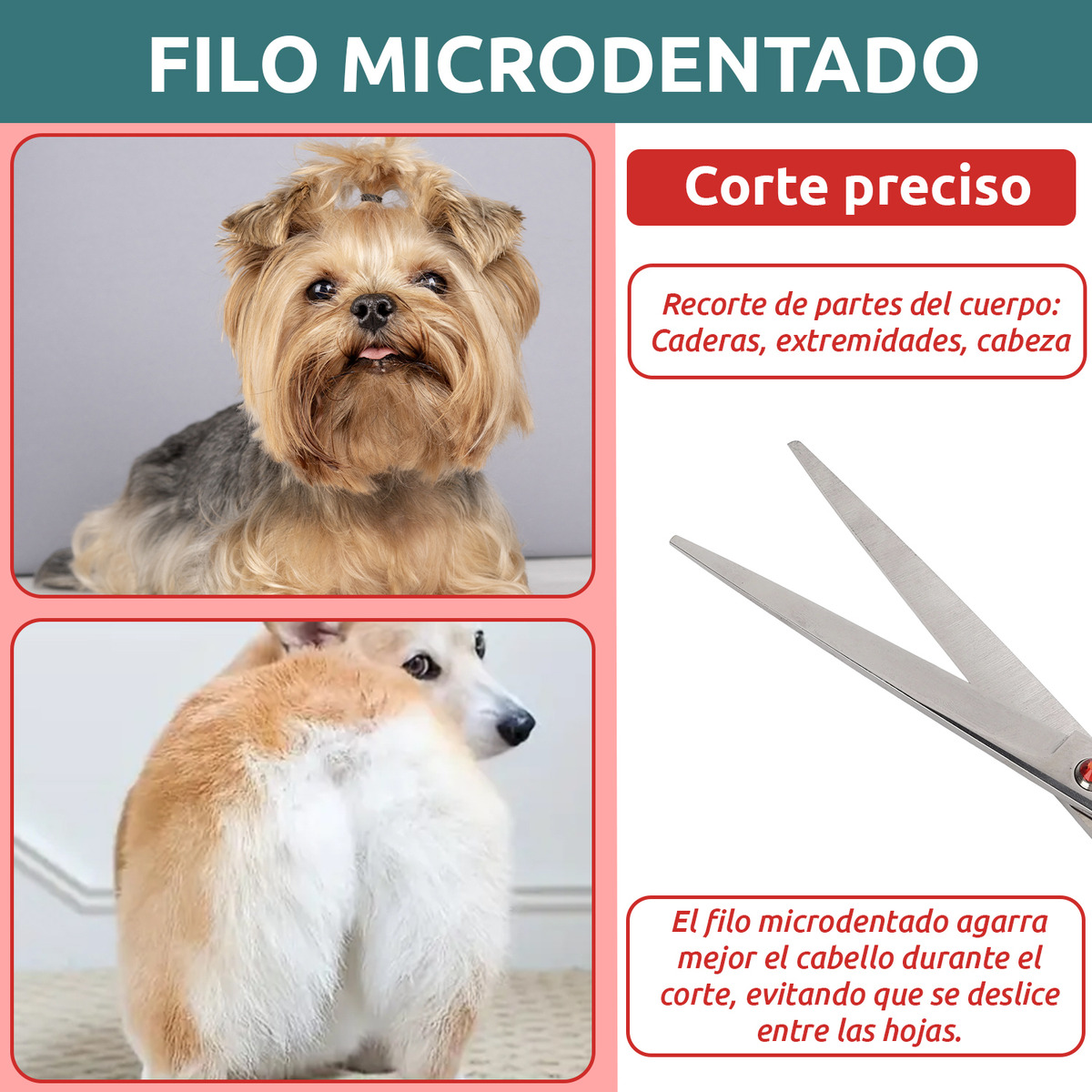 Tijeras Peluqueria Canina Vgr Corte Recta Profesional 8' - Image 6