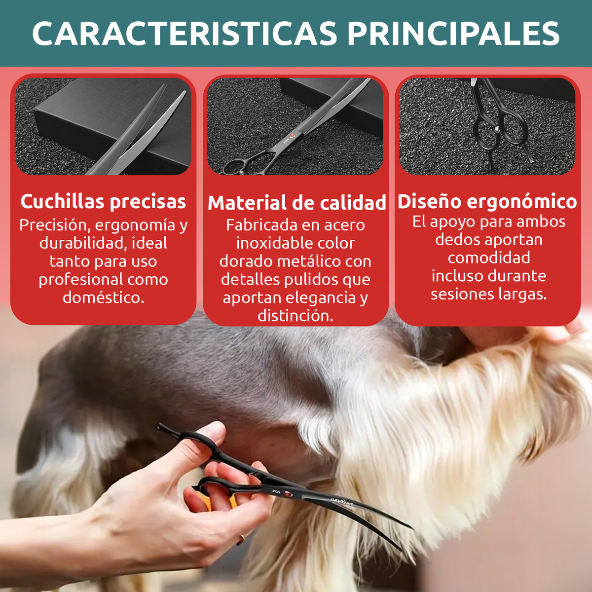 Tijeras Peluqueria Canina Vgr Corte Curva Profesional 8' - Image 3