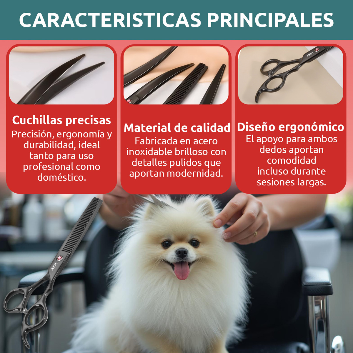 Tijeras Peluqueria Mascotas Vgr Corte Recto Curva Pulir Kit - Image 3