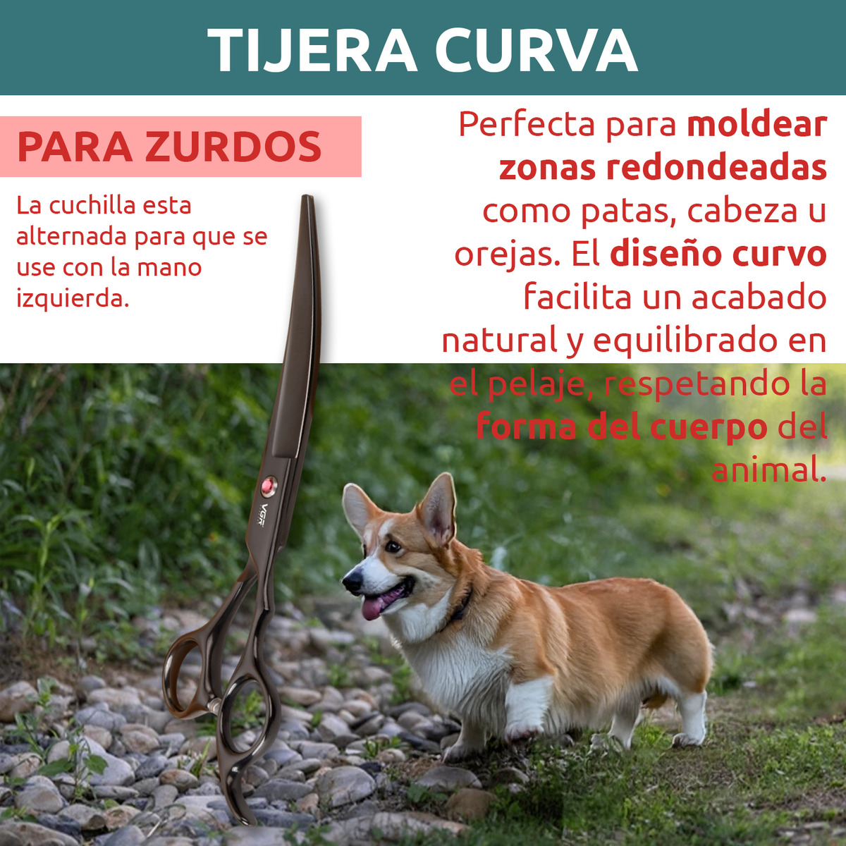 Tijeras Peluqueria Mascotas Vgr Corte Recto Curva Pulir Kit - Image 7