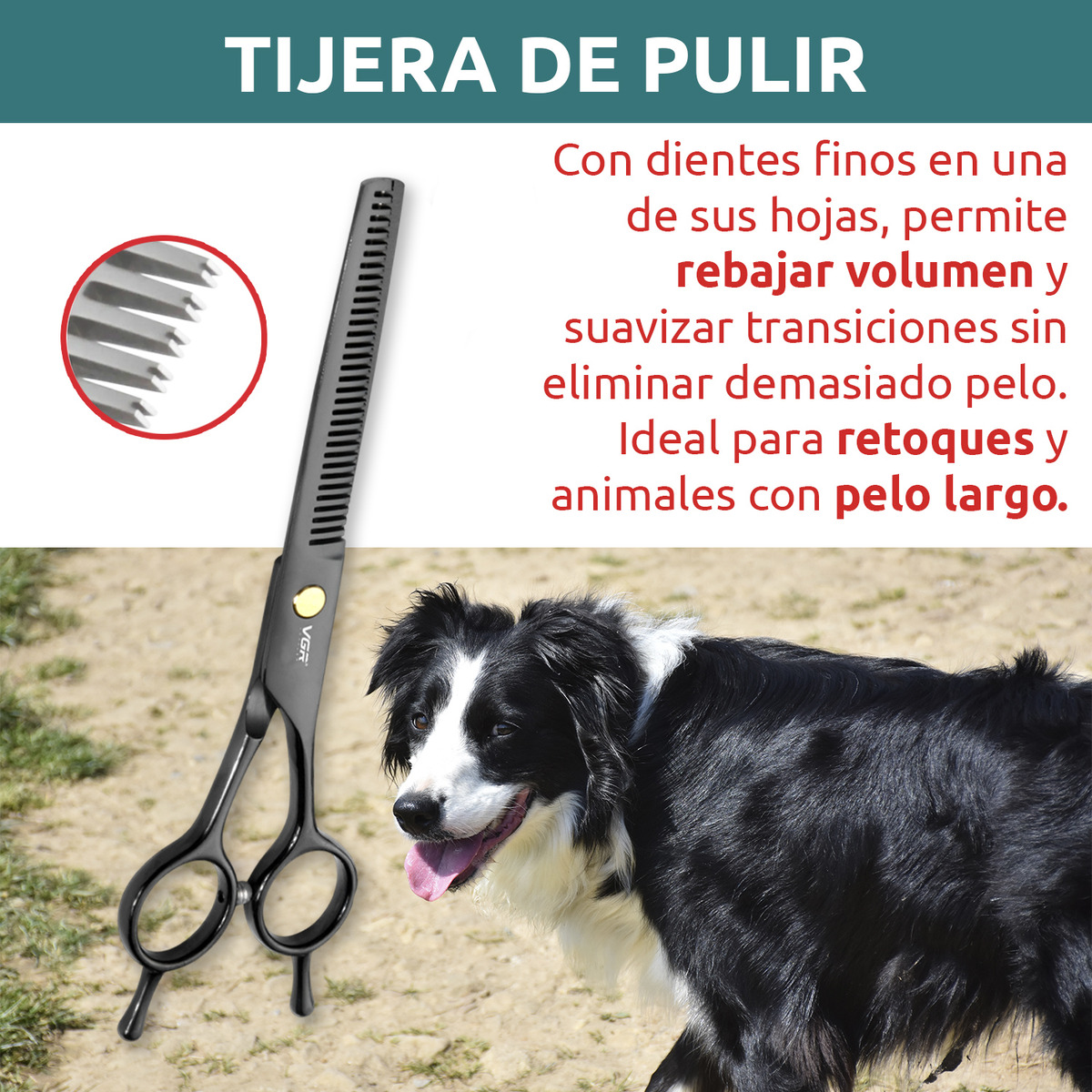 Tijeras Mascotas Peluqueria Kit Vgr Corte Recta Curva Pulir - Image 5