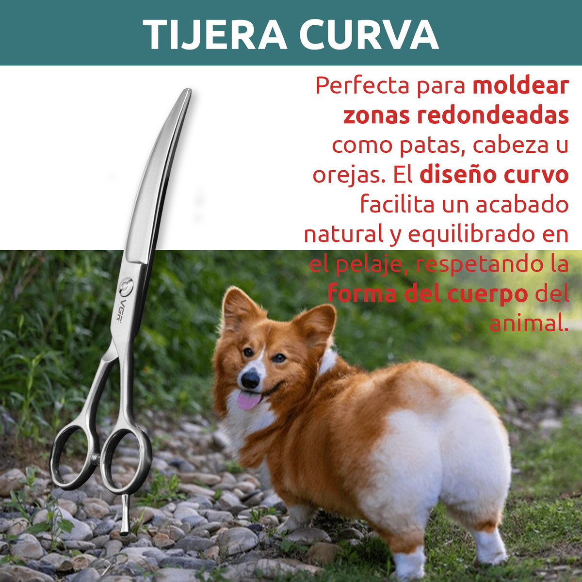 Tijeras Peluqueria Mascotas Vgr Corte Recto Curva Pulir 7' - Image 6