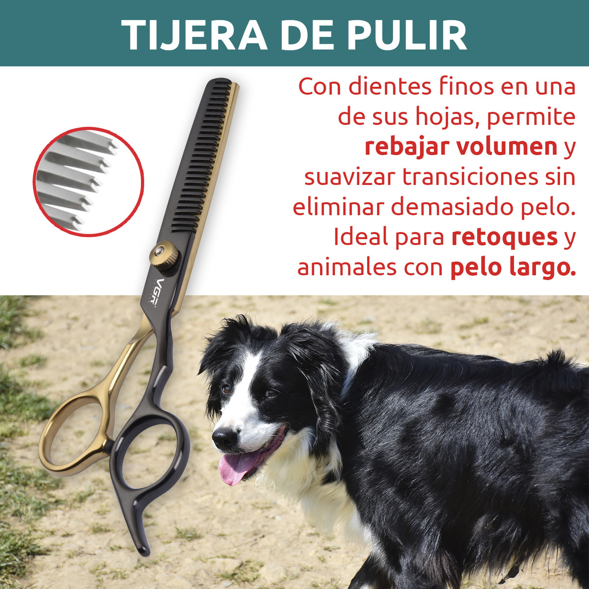 Tijeras Vgr Para Corte Recto En Mascotas Pets3tij - Image 4