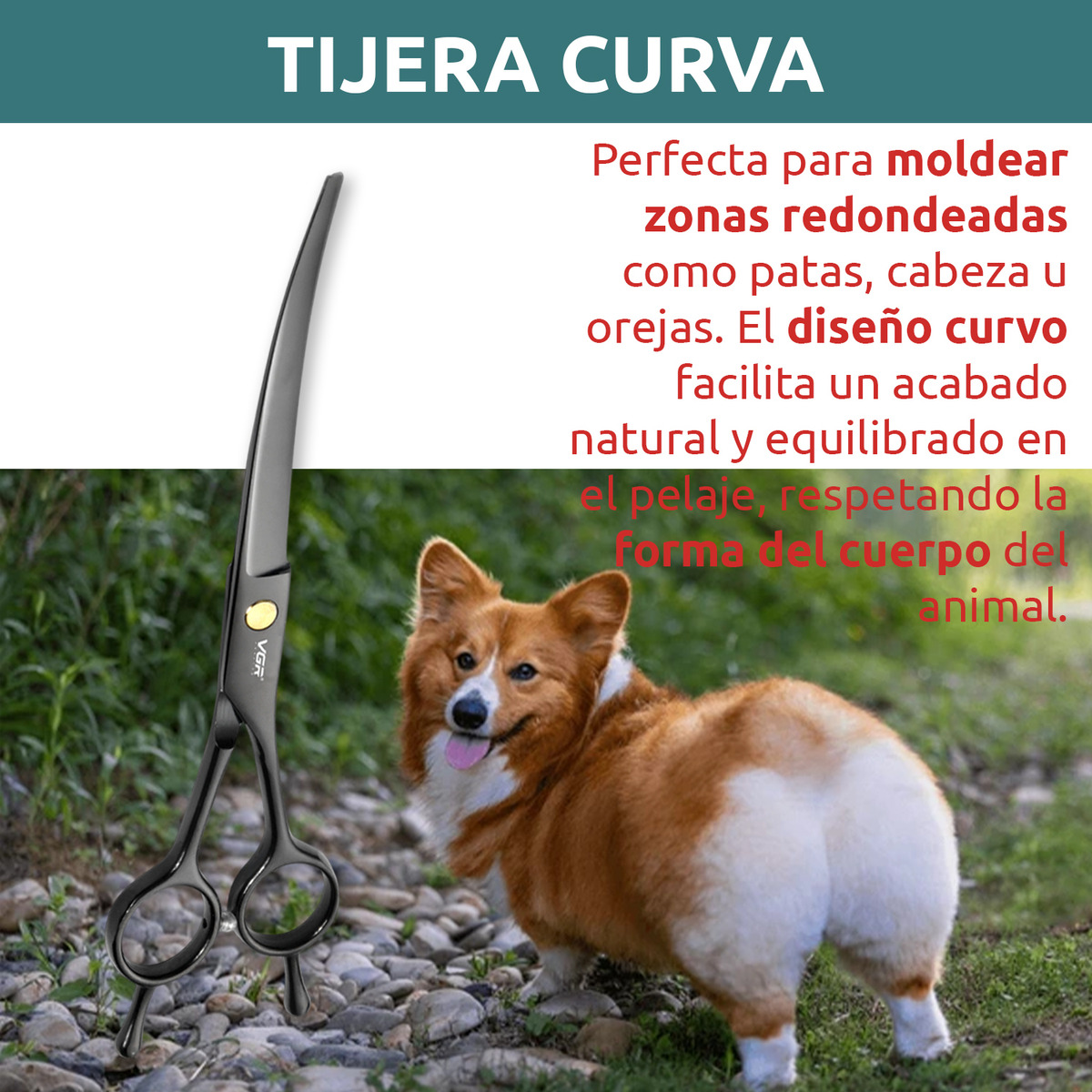 Tijeras Mascotas Peluqueria Kit Vgr Corte Recta Curva Pulir - Image 4
