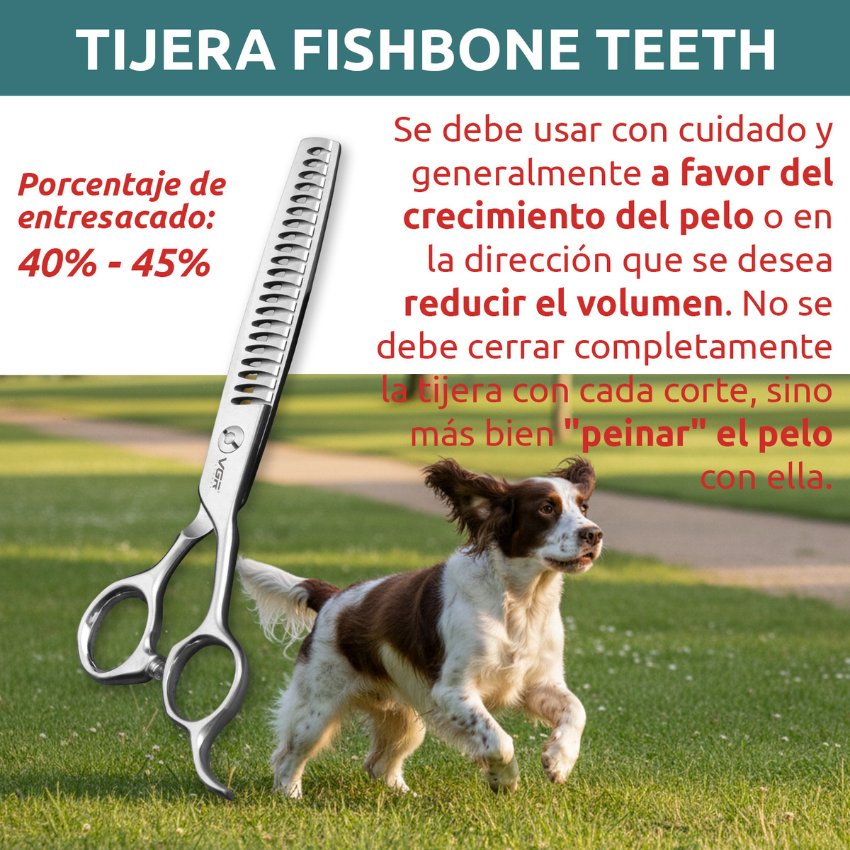 Tijeras Peluqueria Mascotas Vgr Corte Recto Curva Pulir 7' - Image 7