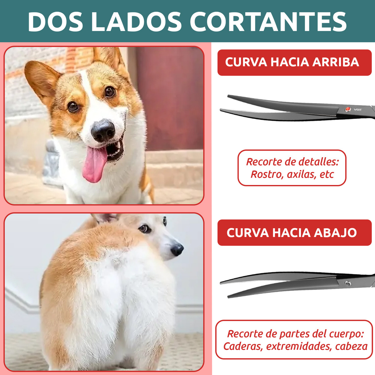 Tijeras Peluqueria Canina Vgr Corte Curva Profesional 8' - Image 6
