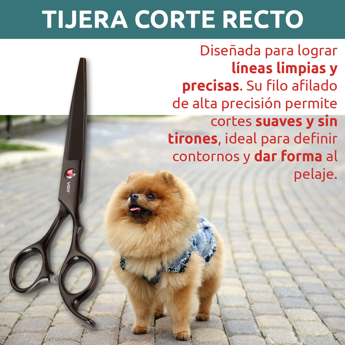 Tijeras Peluqueria Mascotas Vgr Corte Recto Curva Pulir Kit - Image 4