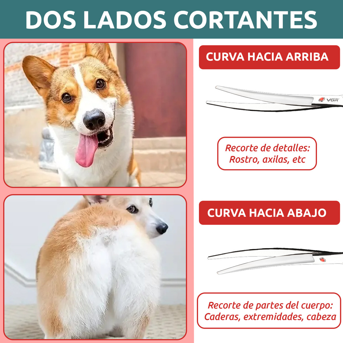 Tijeras Peluqueria Mascotas Vgr Corte Curva Profesional 9' - Image 4