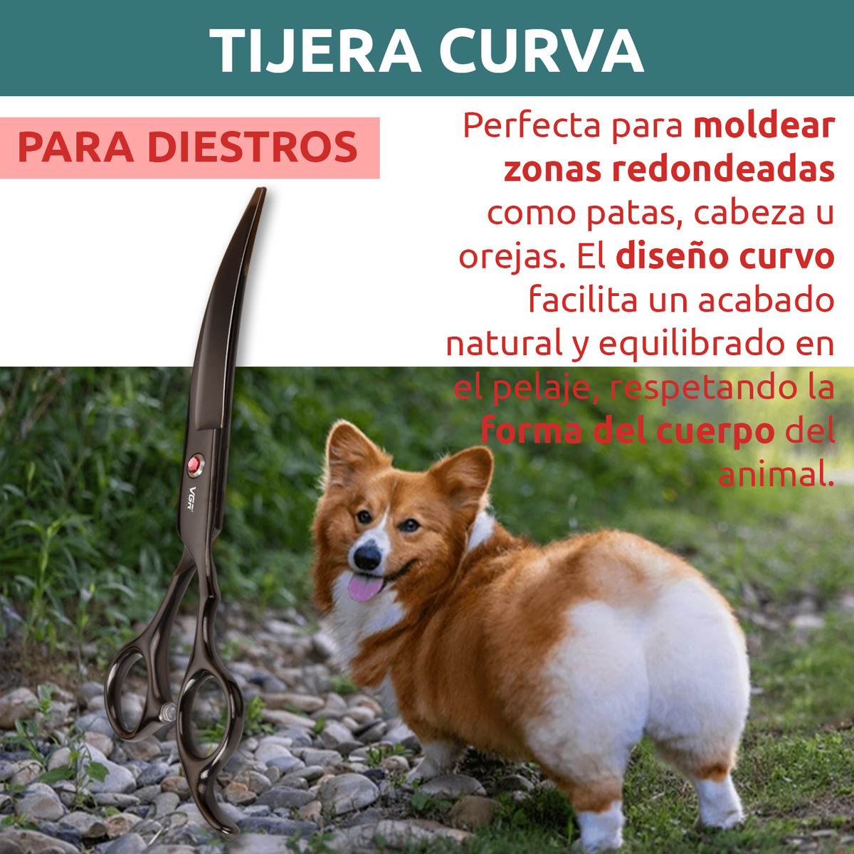 Tijeras Peluqueria Mascotas Vgr Corte Recto Curva Pulir Kit - Image 6