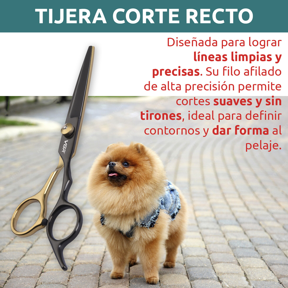 Tijeras Vgr Para Corte Recto En Mascotas Pets3tij - Image 3