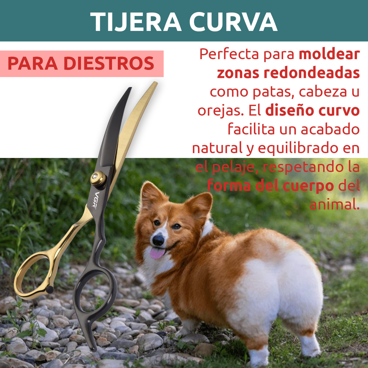 Tijeras Vgr Para Corte Recto En Mascotas Pets3tij - Image 5