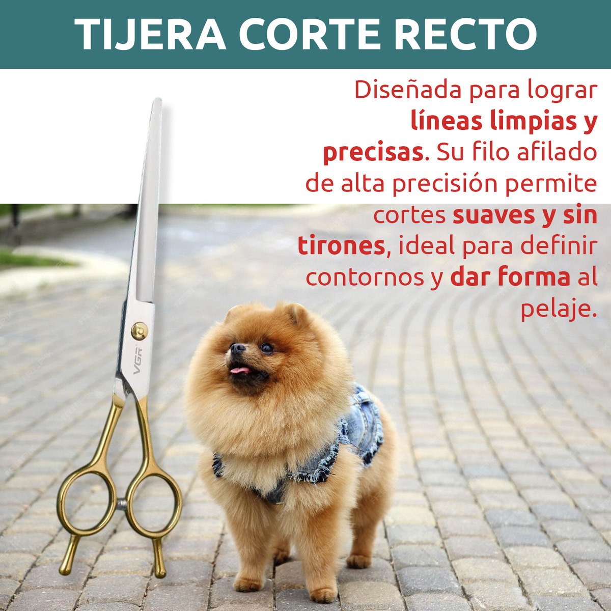 Kit Tijeras Peluqueria Mascotas Vgr Corte Recta Curva Pulir - Image 3